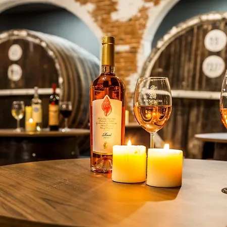 Festa Via Pontica 4*