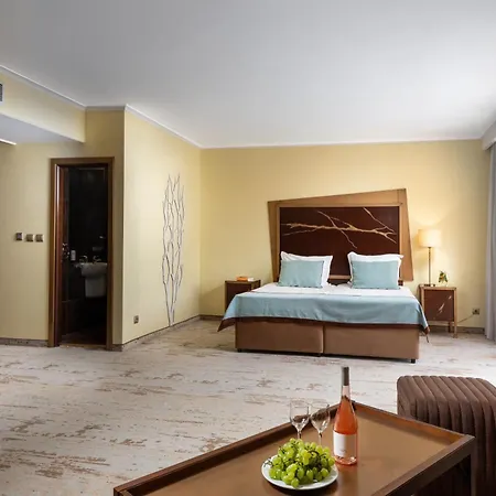 Festa Via Pontica Hotel 4*