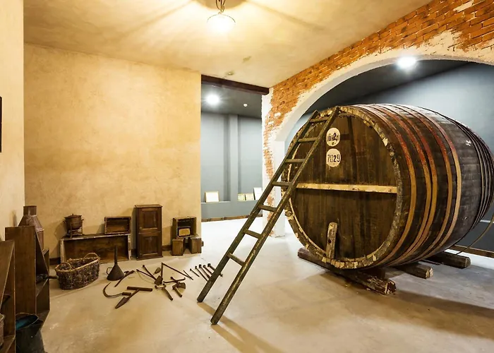 Festa Via Pontica Hotel 4*