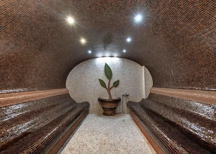 Festa Via Pontica Hotell 4*